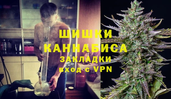ГАЛЛЮЦИНОГЕННЫЕ ГРИБЫ Верея
