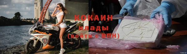 ГАЛЛЮЦИНОГЕННЫЕ ГРИБЫ Верея