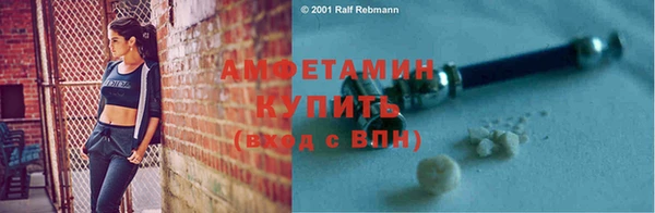 ГАЛЛЮЦИНОГЕННЫЕ ГРИБЫ Верея