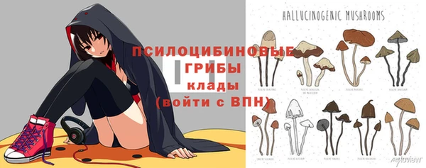 СК Верхний Тагил
