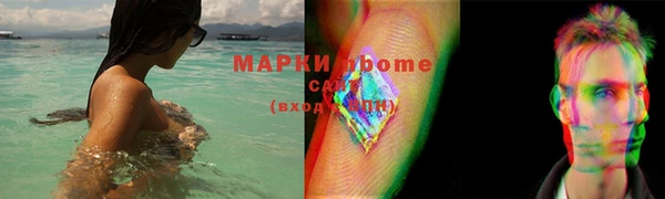 ГАЛЛЮЦИНОГЕННЫЕ ГРИБЫ Верея