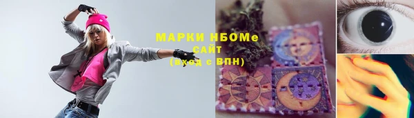 ГАЛЛЮЦИНОГЕННЫЕ ГРИБЫ Верея