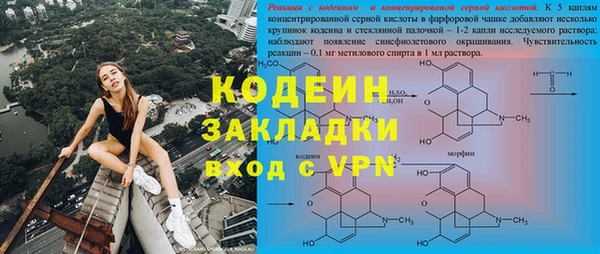 ГАЛЛЮЦИНОГЕННЫЕ ГРИБЫ Верея