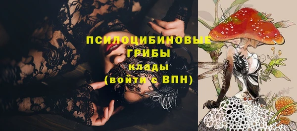 СК Верхний Тагил