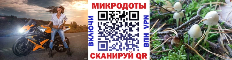 Псилоцибиновые грибы Psilocybine cubensis KRAKEN tor Терек